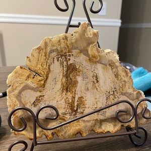 Petrified Wood Display
